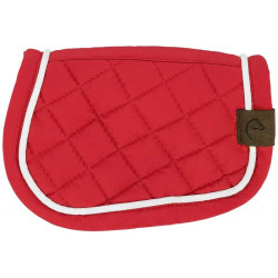 Mini Tapis - PONY ACADEMY