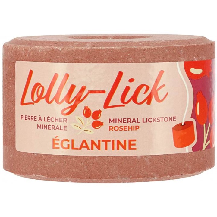 Pierre à sel Lolly Stick