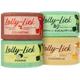 Pierre à sel Lolly Stick