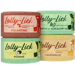 Pierre à sel Lolly Stick -...