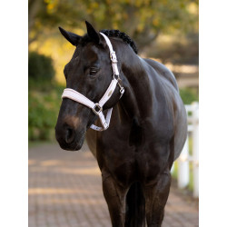 Licol Versailles Lilas - LE MIEUX