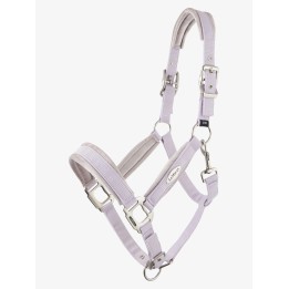 Licol Versailles Lilas