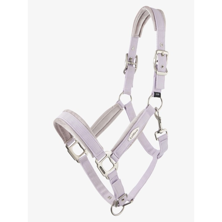 Licol Versailles Lilas