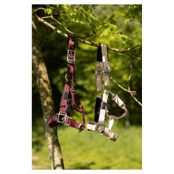 Licol Karin - BR EOVOLV