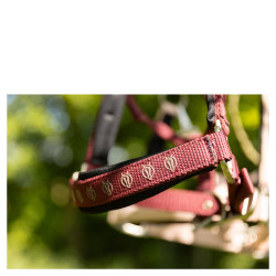 Licol Karin - BR EOVOLV