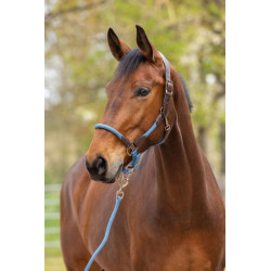 Licol Cordano Deluxe - COVALLIERO