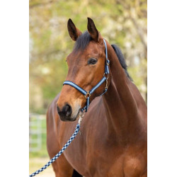 Licol Hippo - COVALLIERO