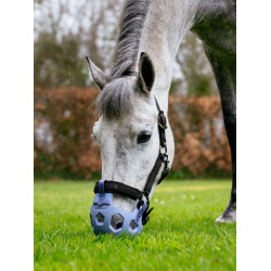 Panier de patûrage - LE MIEUX