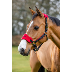 Licol Vogue + Longe - LE MIEUX