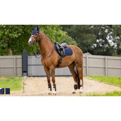 Tapis SoftShell - LE MIEUX