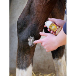 Derma Protek - KEVIN BACON'S