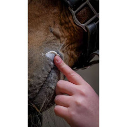 Derma Protek - KEVIN BACON'S