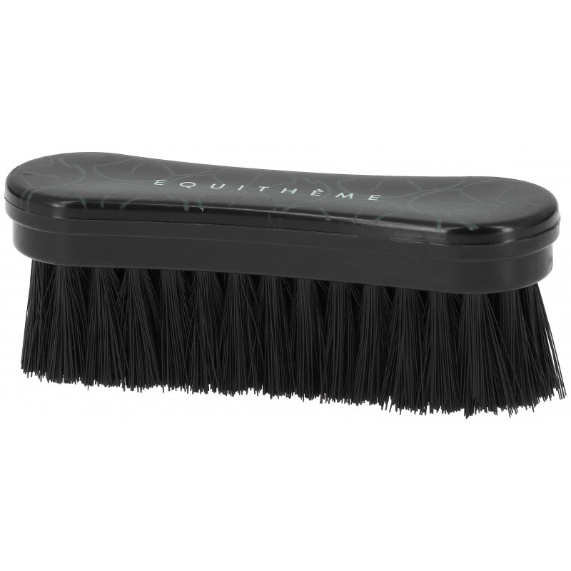 Brosse Tete Studies - EQUITHEME