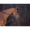 Gogue Poulie Havane - RIDING WORLD