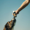 Le Tonic Chien - NUTRAGILE