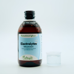 Electrolytes Chien - NUTRAGILE
