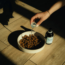 Electrolytes Chien - NUTRAGILE