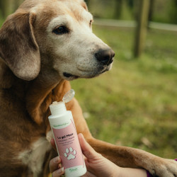 Le Gel Mouv Chien - NUTRAGILE