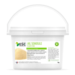 Ail Semoule - ESC