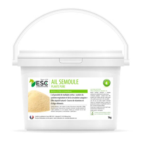 Ail Semoule - ESC