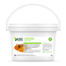 Curcuma - ESC