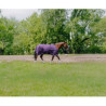 Couverture Tyrex Aisance 150g 600D - EQUITHEME