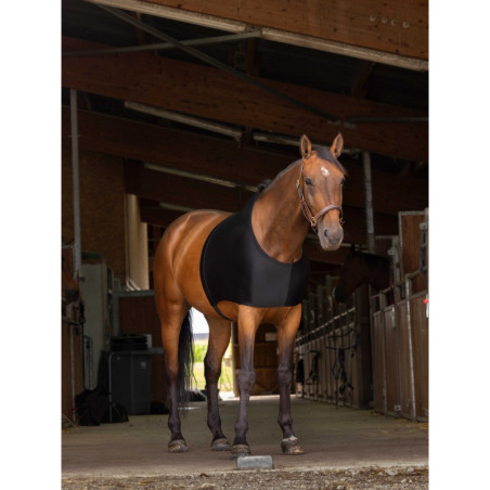 Protection d'Epaules - EQUITHEME