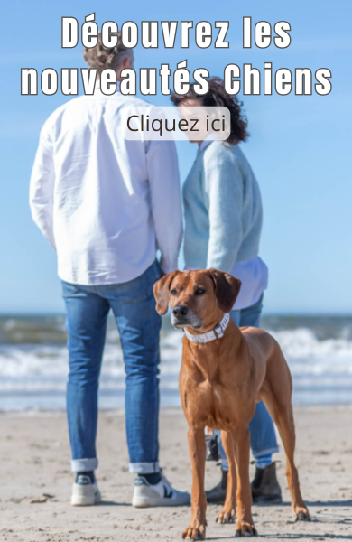 NOUVEAUTES CHIENS